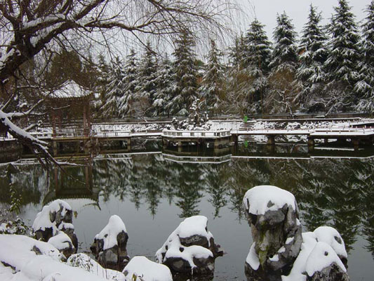 ������ѩ��